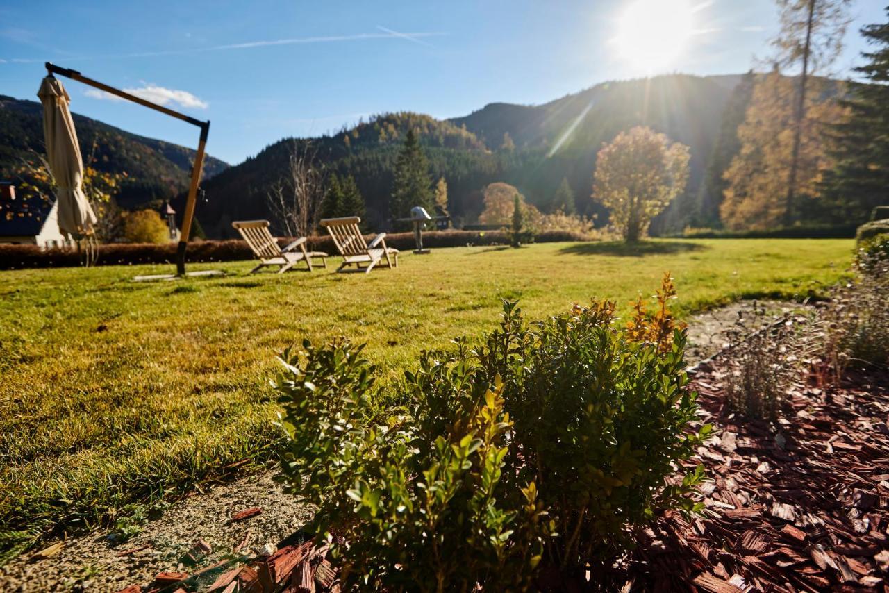 Frein Chalets - Wildalm Frein an der Murz Buitenkant foto