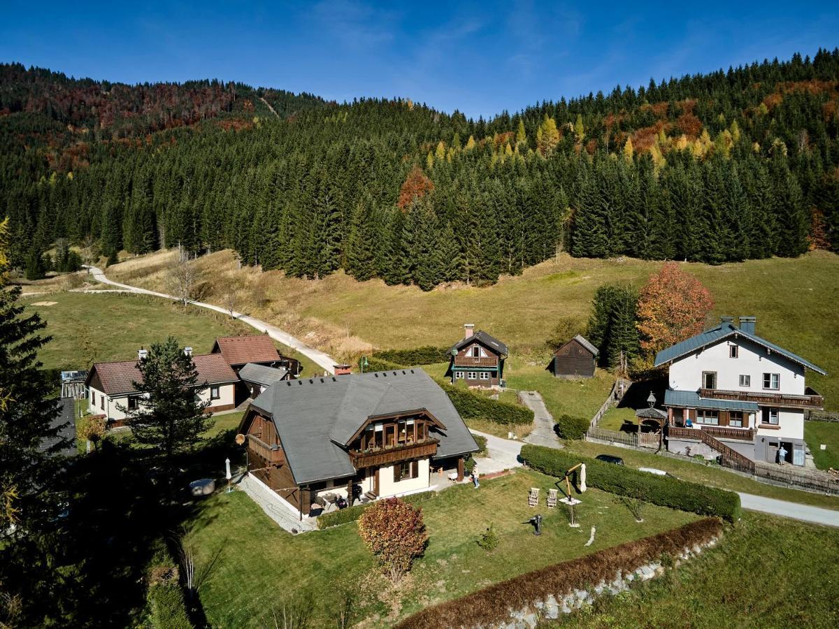 Frein Chalets - Wildalm Frein an der Murz Buitenkant foto