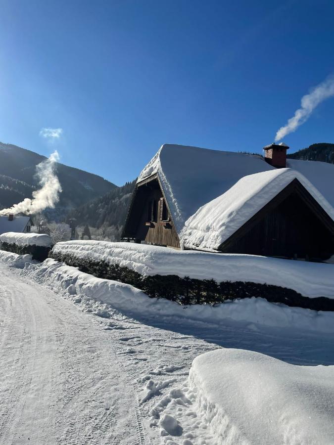 Frein Chalets - Wildalm Frein an der Murz Buitenkant foto