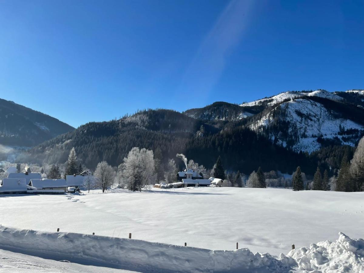 Frein Chalets - Wildalm Frein an der Murz Buitenkant foto