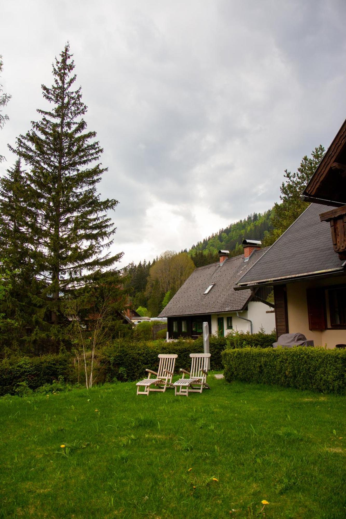 Frein Chalets - Wildalm Frein an der Murz Buitenkant foto