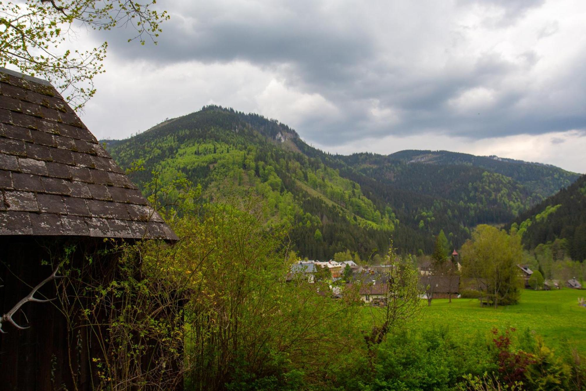 Frein Chalets - Wildalm Frein an der Murz Buitenkant foto