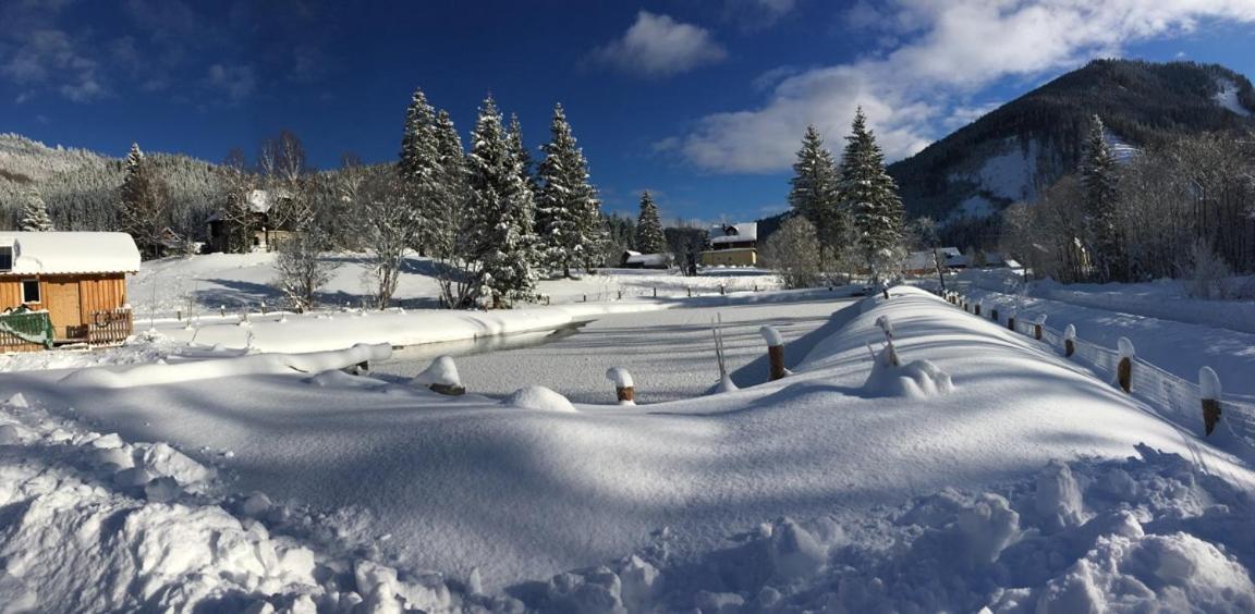 Frein Chalets - Wildalm Frein an der Murz Buitenkant foto